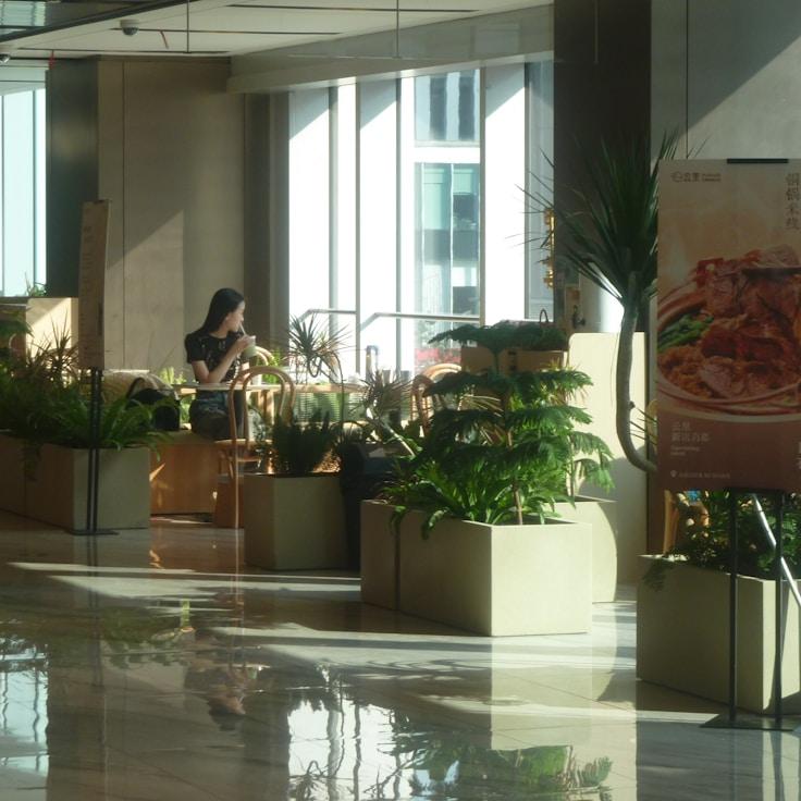 Dining out as an expat family in Netherlands