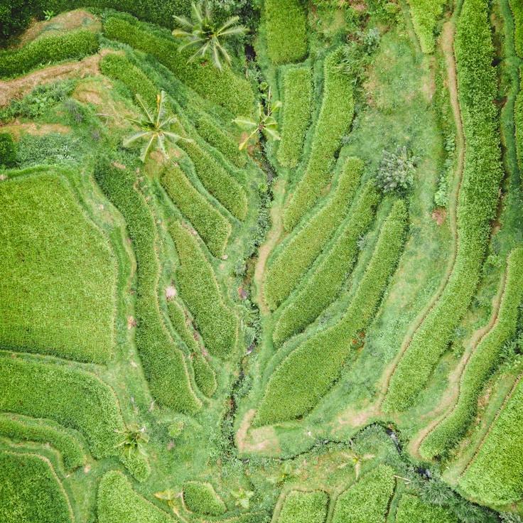 Entertainment zone at night in Netherlands